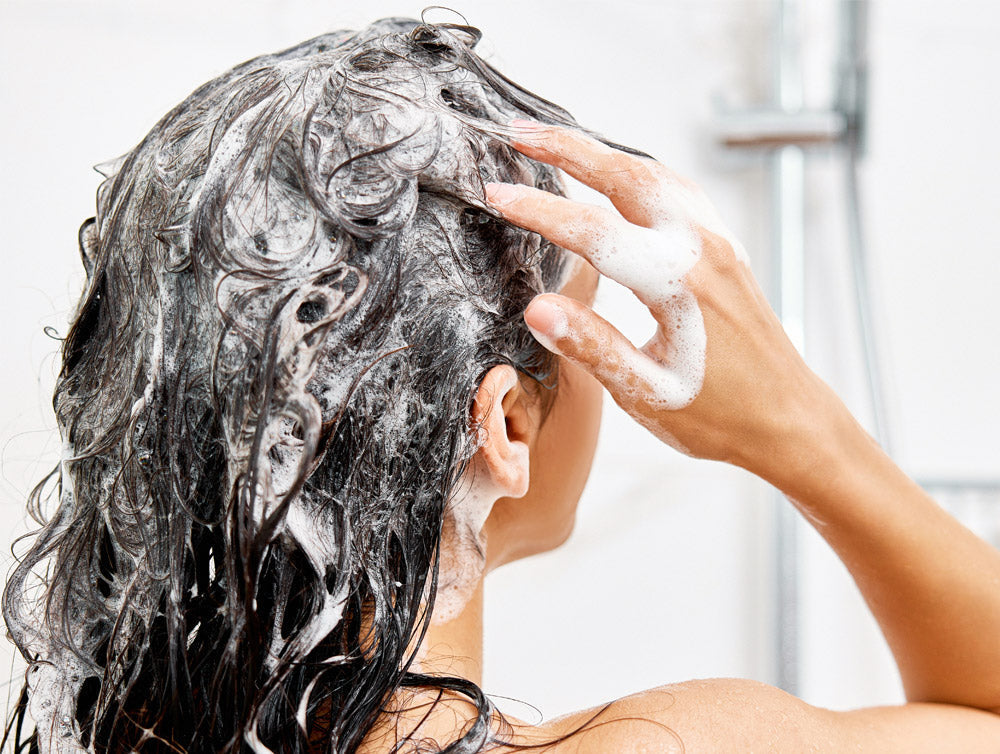 anti-dandruff shampoo article feature