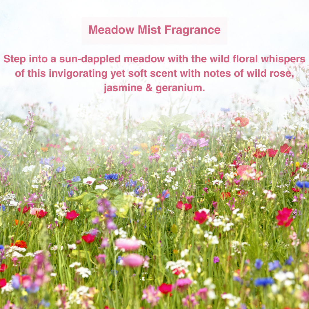 FRESH as a daisy! Anti-Perspirant Deodorant Refill Duo Pack