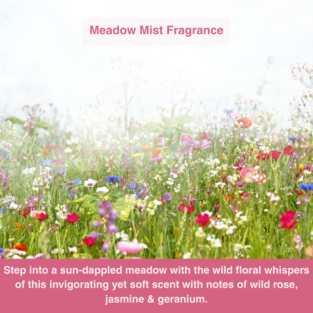 FRESH as a daisy! Anti-Perspirant Deodorant Refill