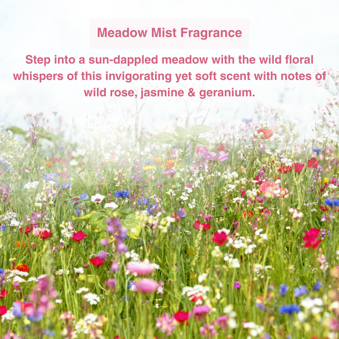 FRESH as a daisy! 48hr Refillable Anti-Perspirant Deodorant Starter Pack (Plastic Free Forever Case + 1 Refill)